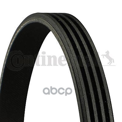 Ремень поликлиновой DAYCO 4PK800