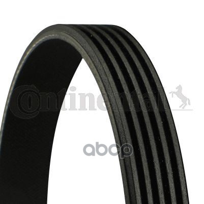 Ремень поликлиновой DAYCO 5PK962