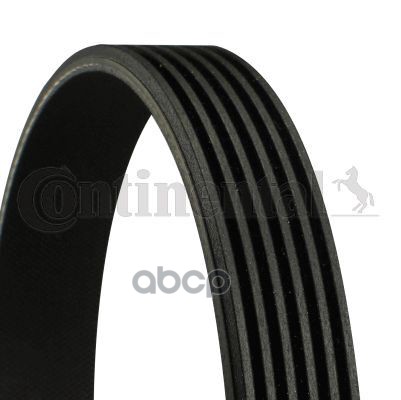 Ремень поликлиновой GATES 6PK1010