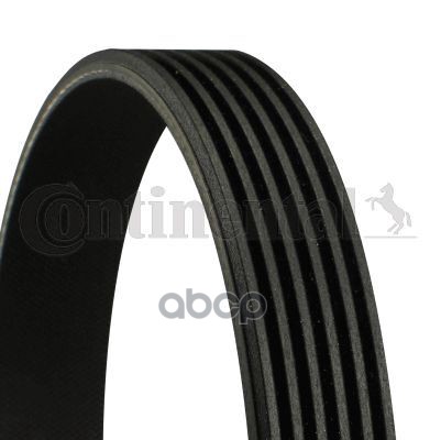 Ремень поликлиновой DAYCO 6PK1635