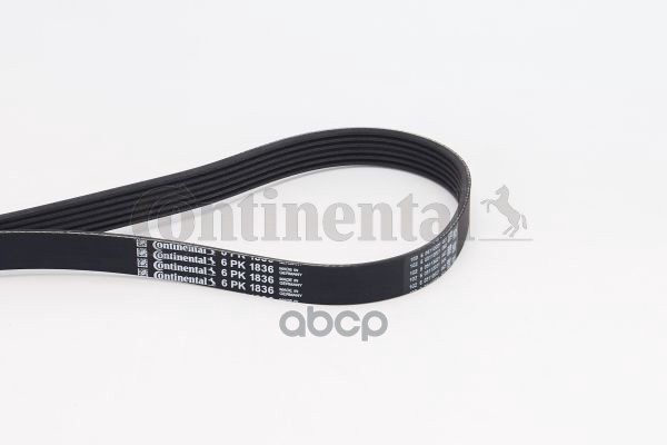 Ремень поликлиновой CONTINENTAL 6PK1836