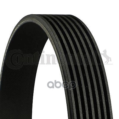 Ремень поликлиновой DAYCO 7PK2061