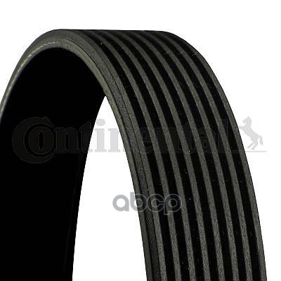 Ремень поликлиновой DAYCO 8PK1635