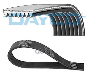 Ремень поликлиновой DAYCO 7PK1666