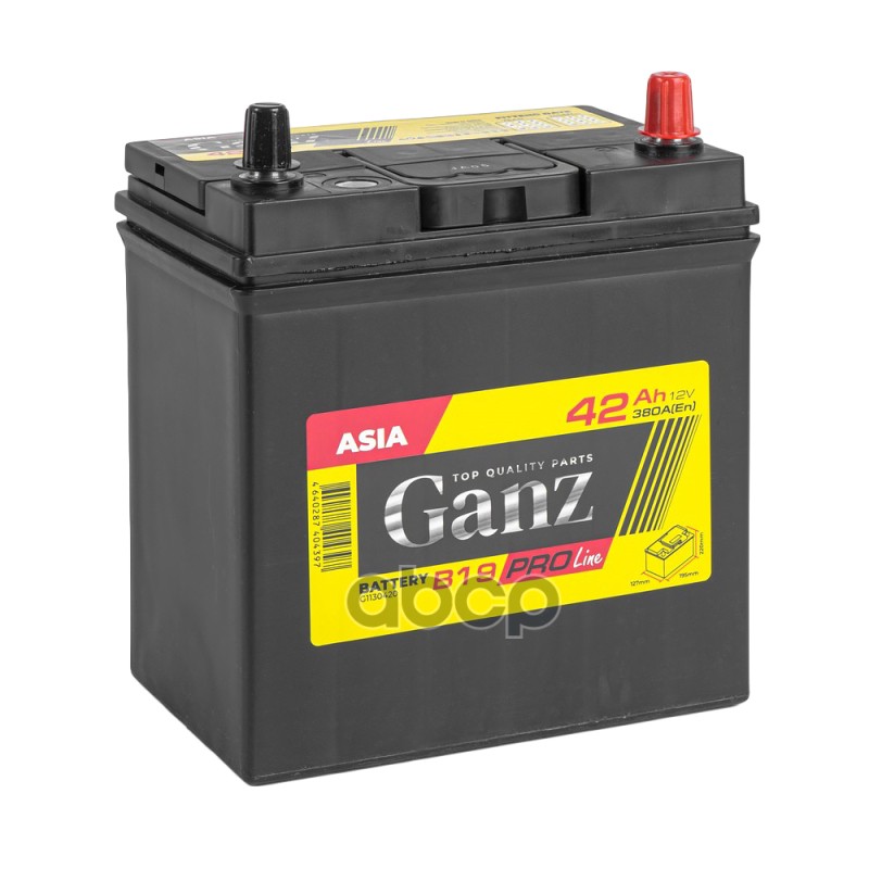Аккумулятор GANZ PRO-Line JIS 42 Ач обратный R+ 195x127x220 B19 EN 380 А GANZ G1130420