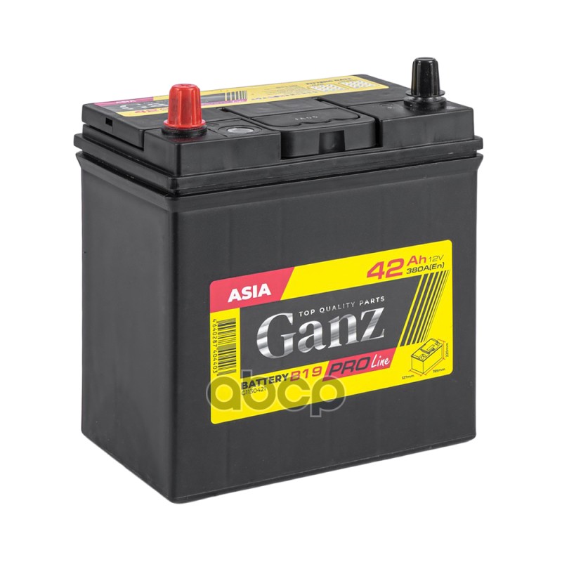 Аккумулятор GANZ PRO-Line JIS 42 Ач прямой L+ 195x127x220 B19 EN 380 А GANZ G1130421