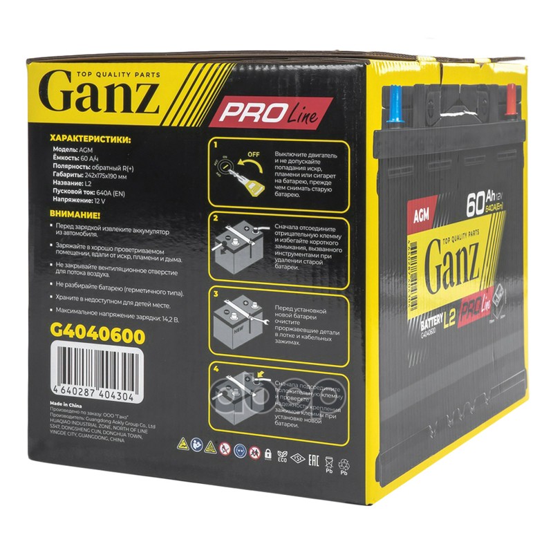 Аккумулятор GANZ PRO-Line AGM 60 Ач обратный R+ 242x175x190 L2 EN 640 А GANZ G4040600