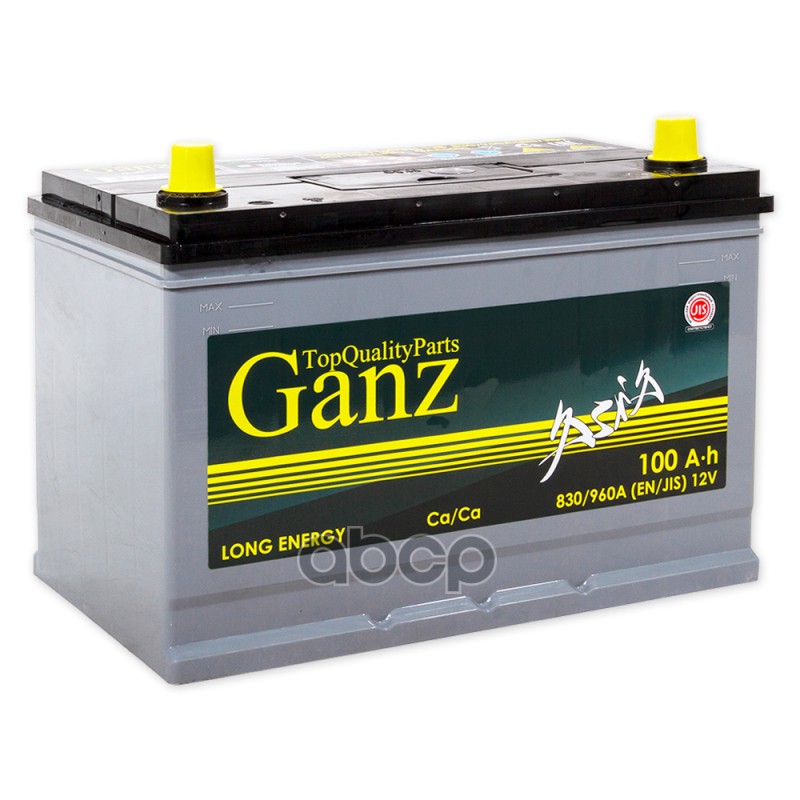 Аккумулятор GANZ ASIA 100 Ач обратный R+ 304x173x220 D31 EN 830 А GANZ GAA1000