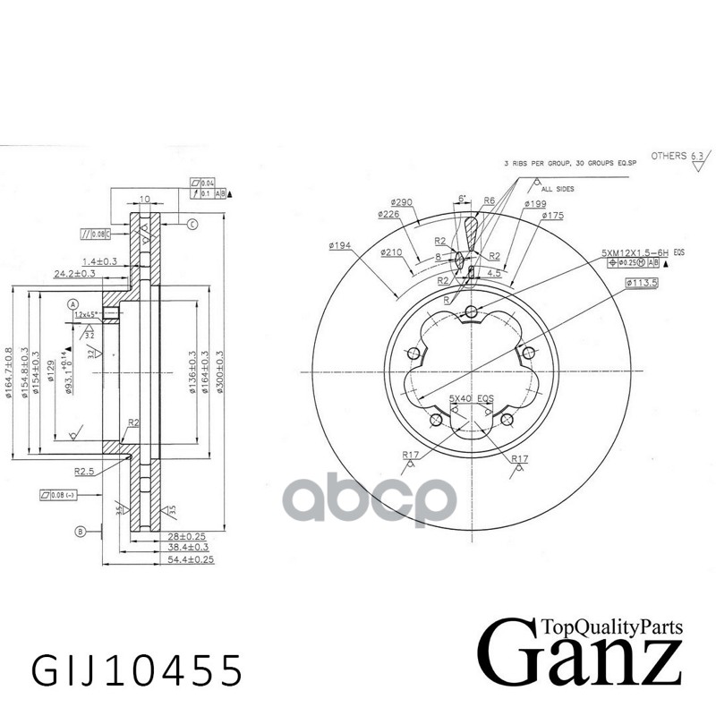 Диск тормозной передний с покрытием GANZ GIJ10455