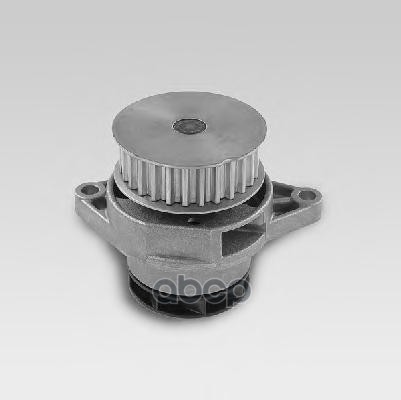 Помпа, водяной насос HEPU P558